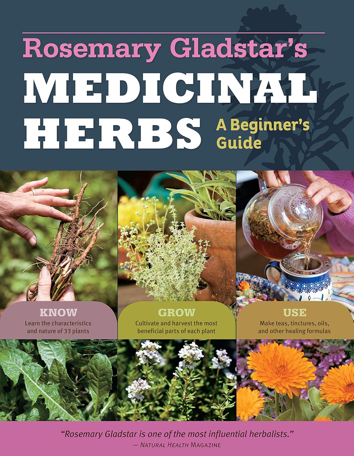 Rosemary Gladstar's Medicinal Herbs book