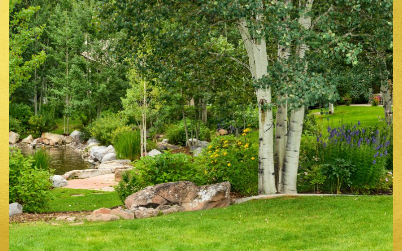 Remember to Take Care of Yourself This photo is an outdoor scene containing trees, a small pond, rocks, flowers.