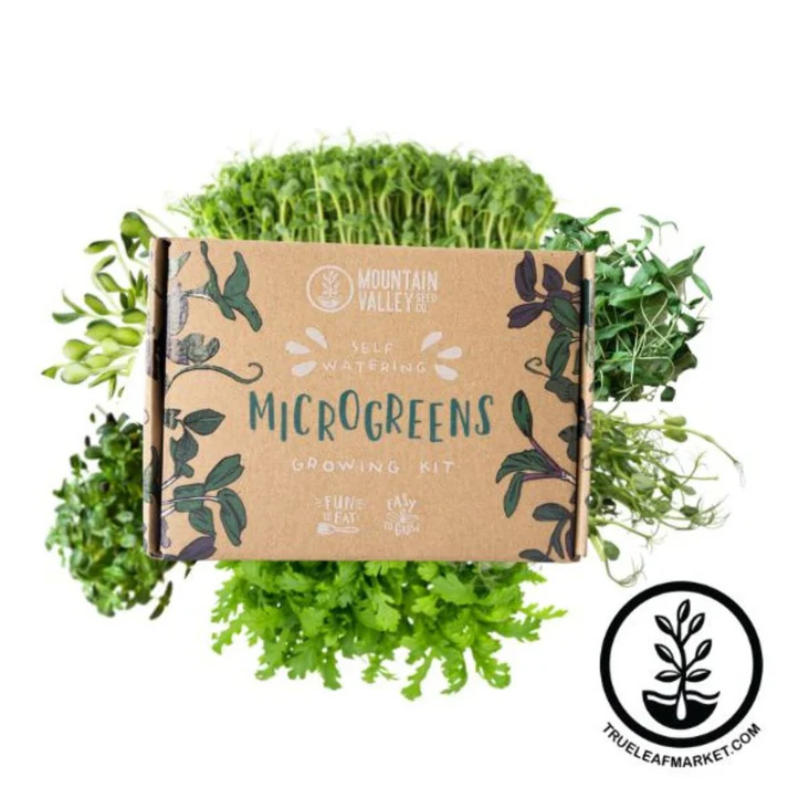 Windowsill Self-Watering Microgreens Kit