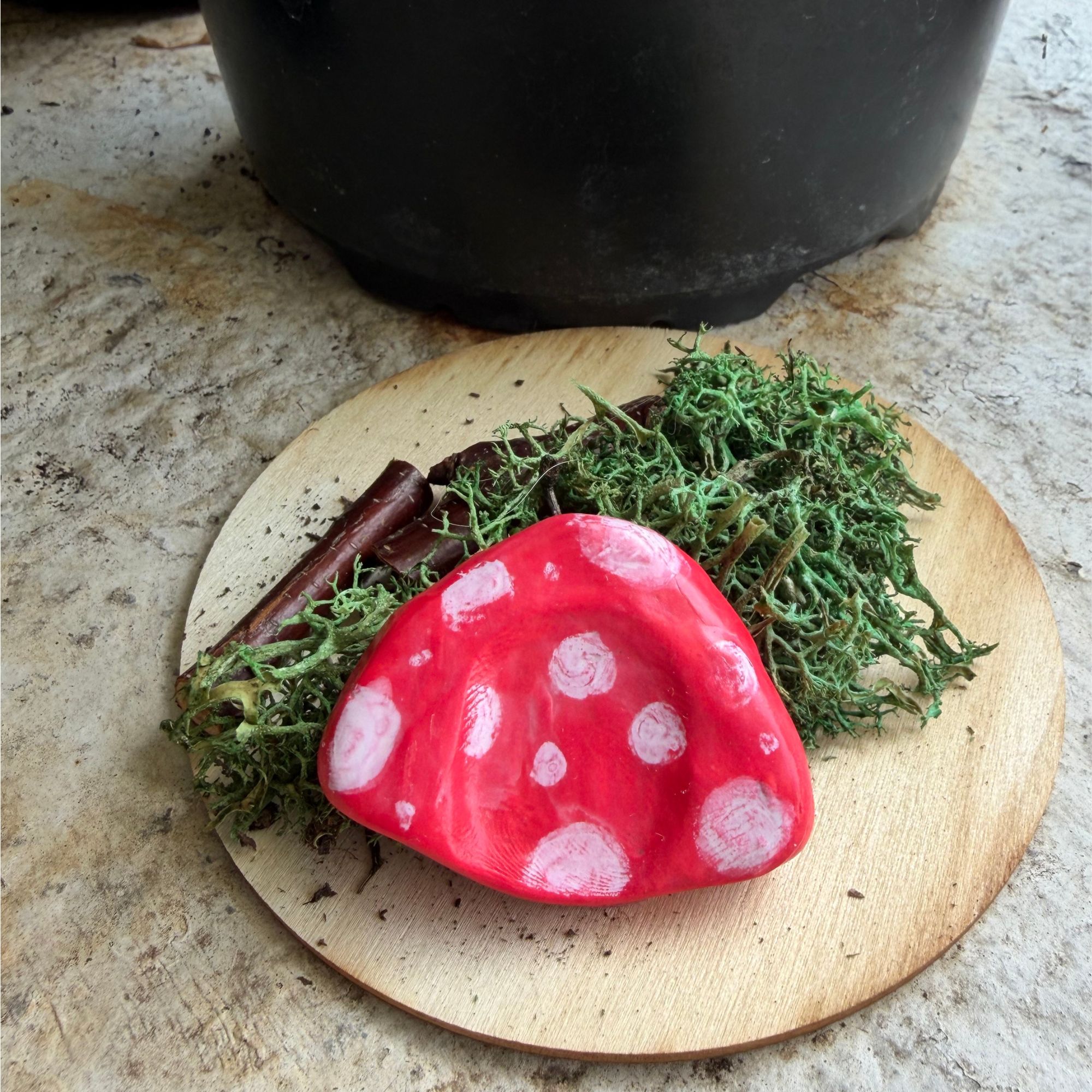 mushroomworrystonesands polymer clay worry stone in the shape of a mushroom. Red with White polka dots